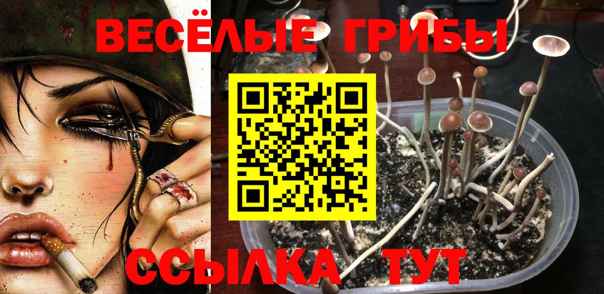 Галлюциногенные грибы Magic Shrooms  Вход с VPN  наркотики  Димитровград 