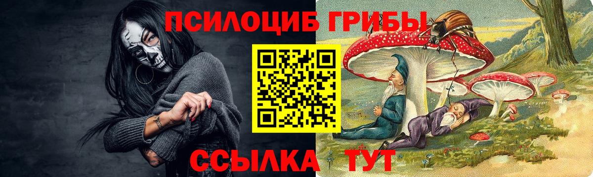 Галлюциногенные грибы ЛСД Димитровград